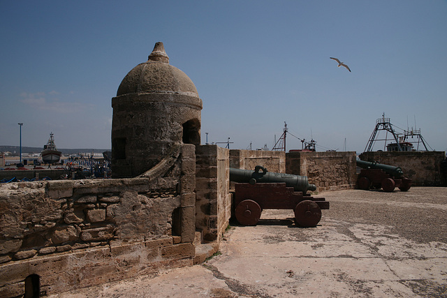 Seagull Over Essaouira