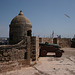 Seagull Over Essaouira