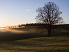 frühes Licht