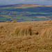 Cown Edge view to Wild Bank Hill