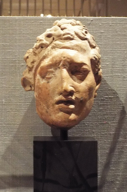 Head of Man from a Gandharan Relief in the Princeton University Art Museum, April 2017