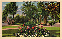 California Postcard, c1945
