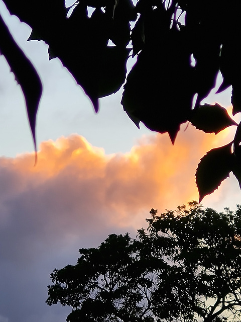 sunset after rain