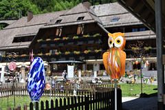 Owl sitting on fence!