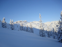 Am Bernkogel