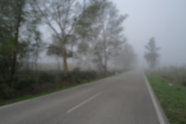 Mist on the road... I love Winter !