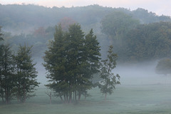 brume matinale .....