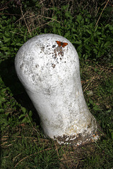 Bollard & Butterfly