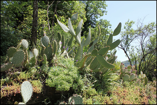 IMG 7073 (2)