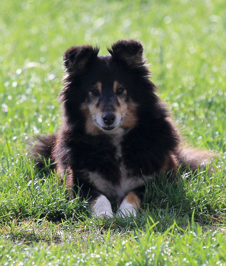 Ein aufmerksamer Blick