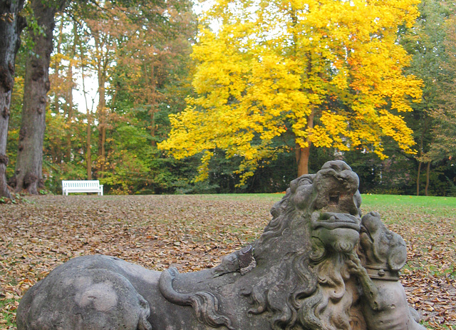 Herbst im Park