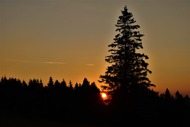 Sonnenaufgang auf dem Kandel