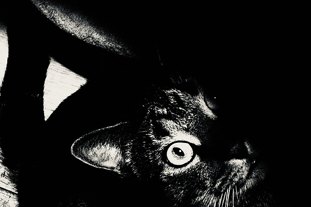 Schnappschuss