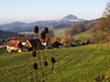 Staufen & Distel