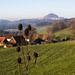 Staufen & Distel