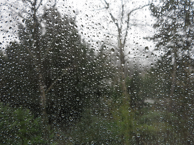 Fensterblick heute