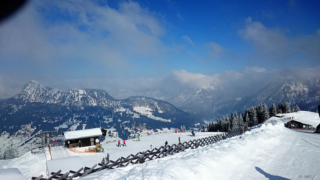 Der Zaun im Tannheimer Tal