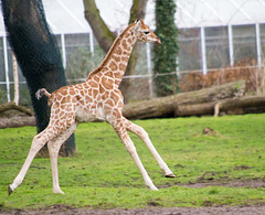 Zahra is two weeks old