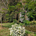 Worship site flowers / Fleurs de lieu de culte