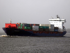 Feeder-Containerschiff  PEGASUS