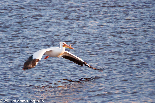 Liftoff