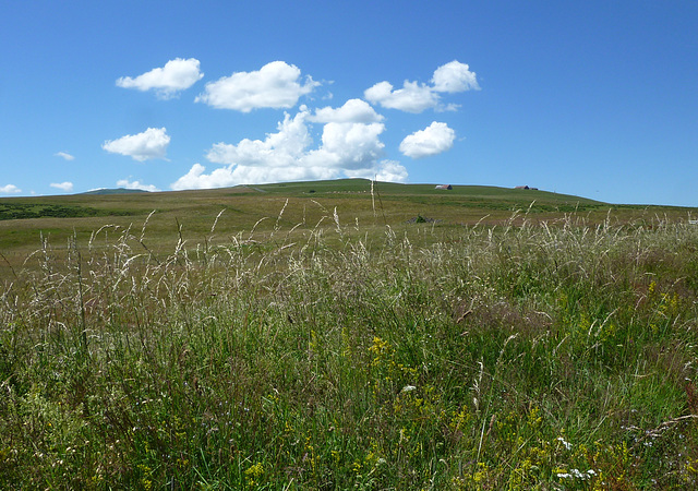 Eté dans le Cantal