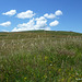 Eté dans le Cantal