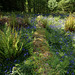 Bluebells In Carstramon Woods