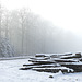 Nebel und Schnee auf dem Berg