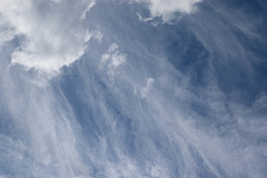 Looking Up - World Photography Day 2025