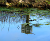 In the Dipping Pond