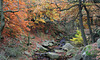 Padley Gorge autumnal glory