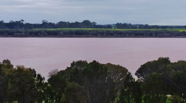 Pink Lake