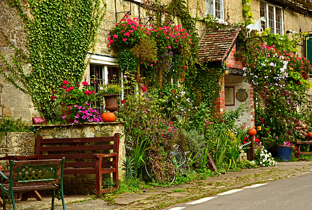 The White Horse ~ Hinton St Mary