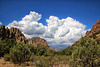 Sunny Flat Campground, The Chiricahua Mountains