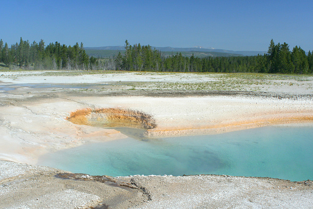 Turquoise Pool