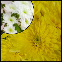 After all, it still hasn't started raining around here After all, it still hasn't started raining around here