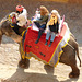 Amer- Amber Fort- Tourists Arriving by Elephant