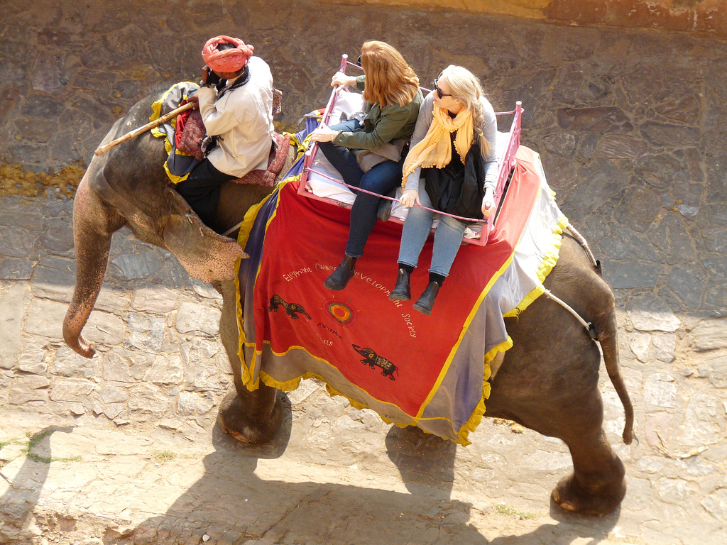 Amer- Amber Fort- Tourists Arriving by Elephant