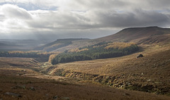 Burbage autumn spotlight