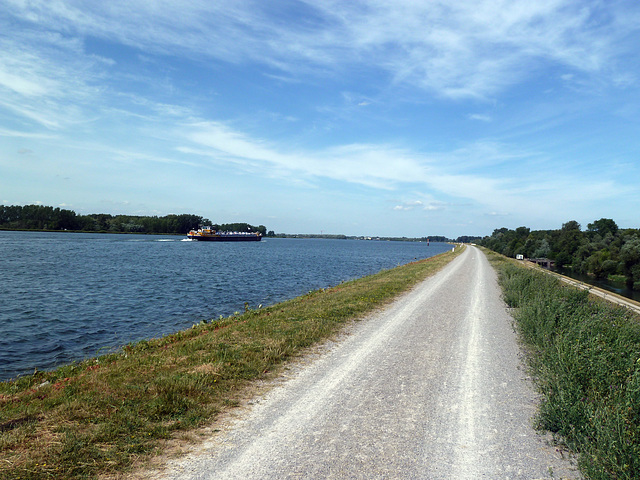 Auf dem Rheindamm bei Iffezheim