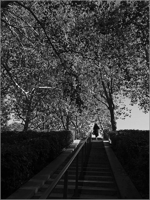 Parc de Bercy