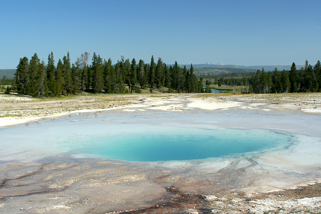 Turquoise Pool