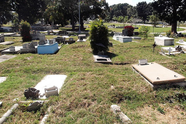 Cuban funerary garden.