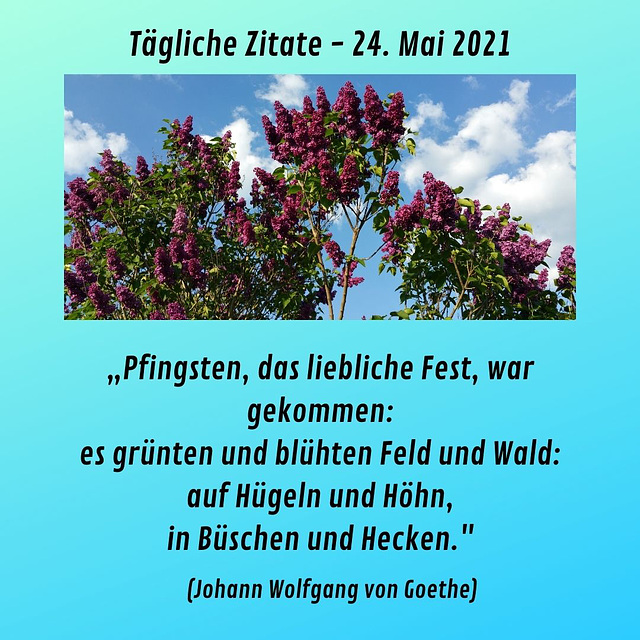 Tägliche Zitate - 24. Mai 2021