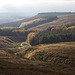 The Golden Valley - Burbage and Carl Wark in the autumn sunshine