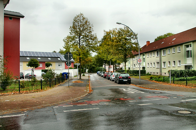 Heringstraße (Gladbeck-Brauck) / 22.09.2018