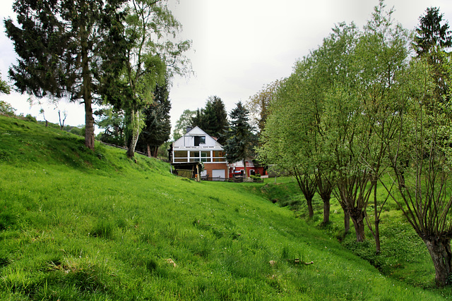 Im Tal der Barbecke (Hattingen-Niederwenigern) / 28.04.2019