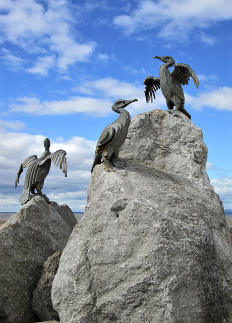 (Not real) Cormorants.