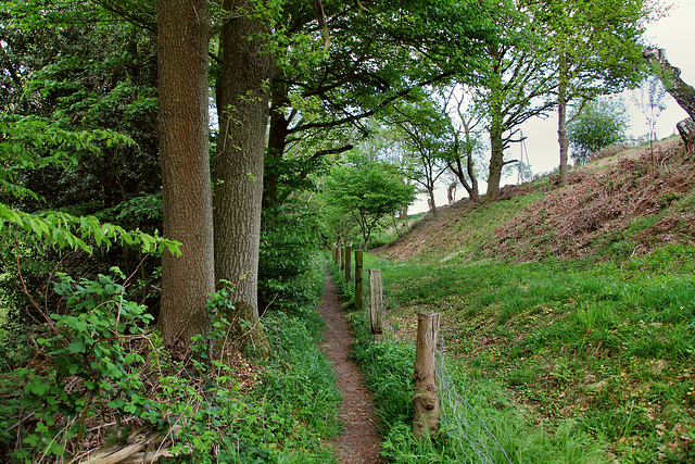 Weg an der Barbecke (Hattingen-Niederwenigern) / 28.04.2019